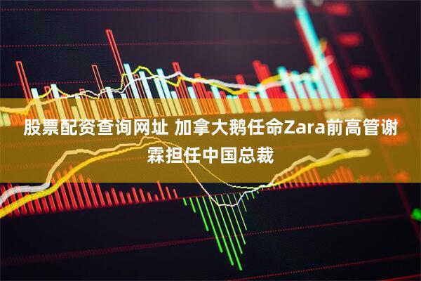 股票配资查询网址 加拿大鹅任命Zara前高管谢霖担任中国总裁