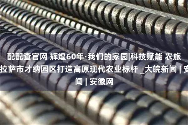 配配查官网 辉煌60年·我们的家园|科技赋能 农旅融合 拉萨市才纳园区打造高原现代农业标杆 _大皖新闻 | 安徽网